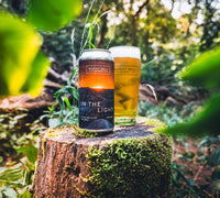 In the Light - West Coast Pale Ale 4.6%